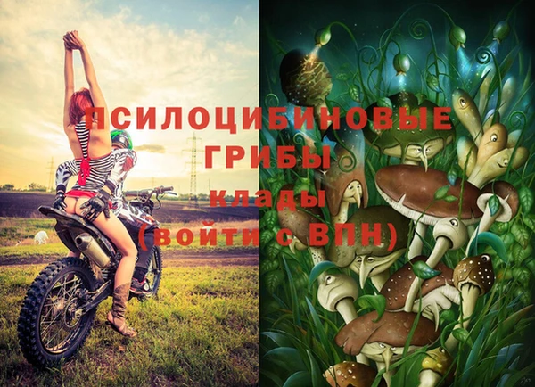 таблы Алексин