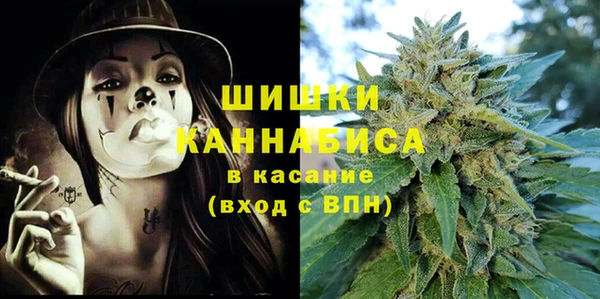 мдпв Осинники