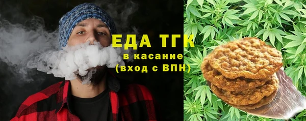 хмурый Алзамай