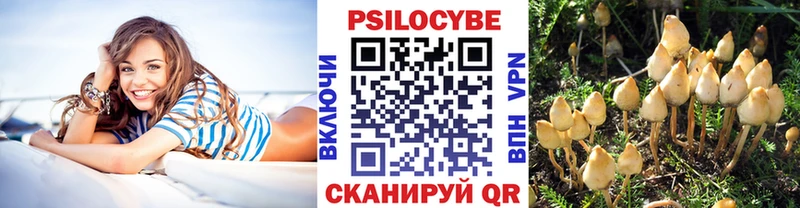 Галлюциногенные грибы GOLDEN TEACHER  цена   Петровск 